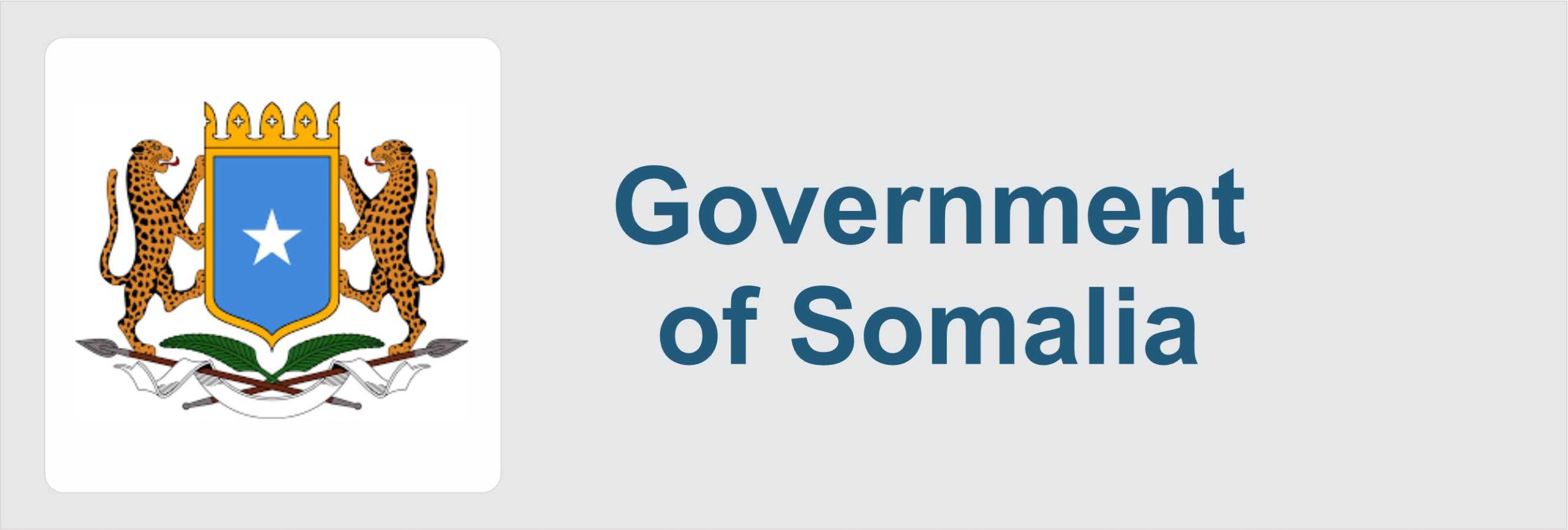 Government of Somalia